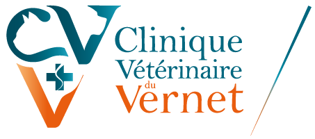 Clinique du Vernet (31)